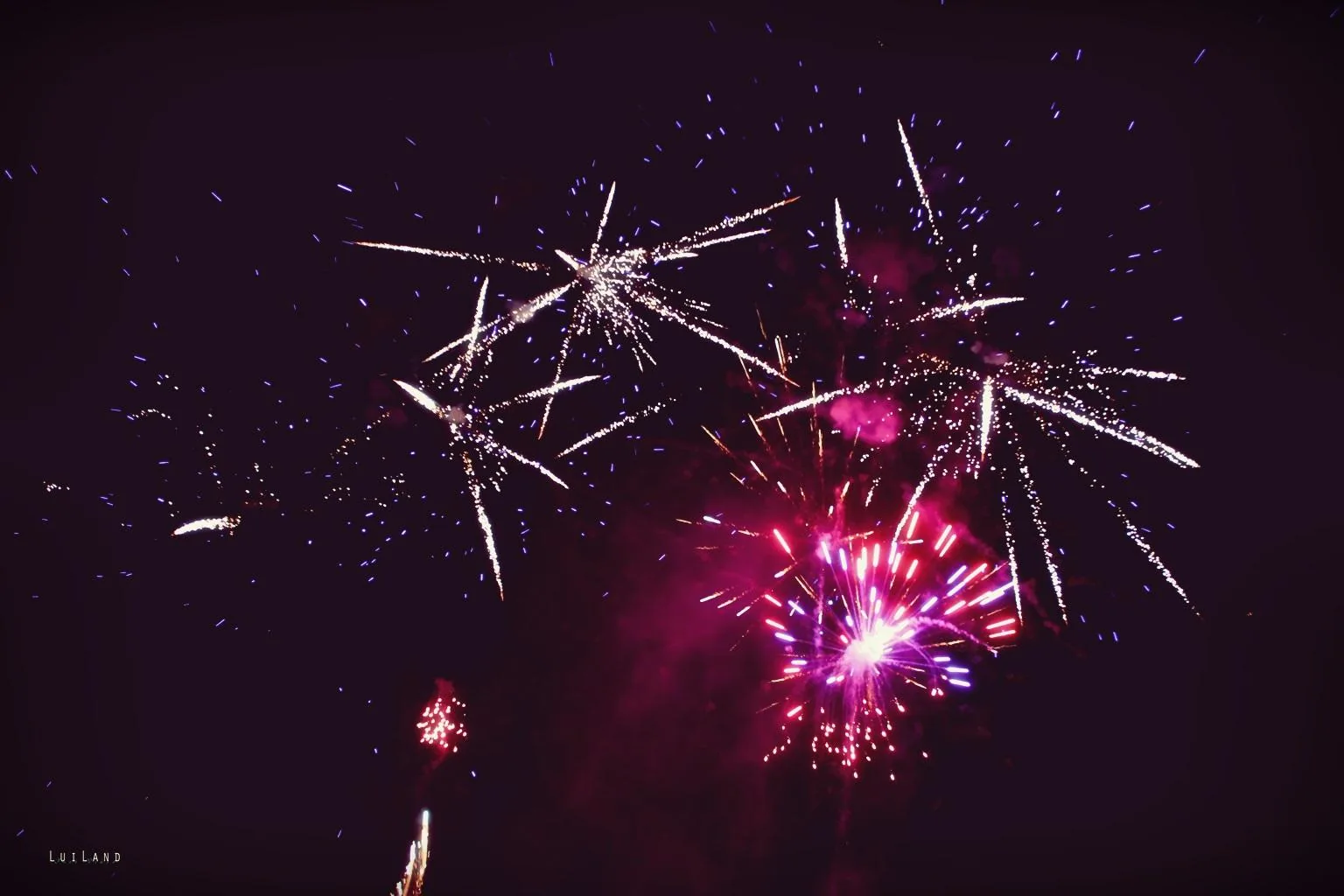 Nyárbúcsúztató főzőverseny, Fotó: LuiLand 