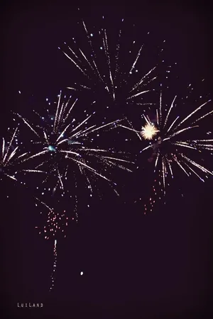 Nyárbúcsúztató főzőverseny, Fotó: LuiLand 