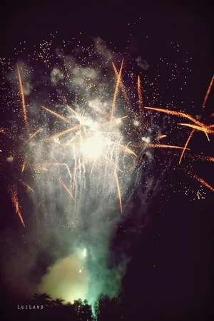 Nyárbúcsúztató főzőverseny, Fotó: LuiLand 