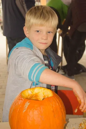 Fotók 1 album: Babai Lalinda