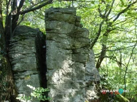 Pápalátó-kő borítóképe