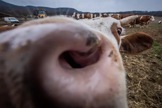 'További korlátozás alá tartozó körzet létesítése' cikk borítóképe