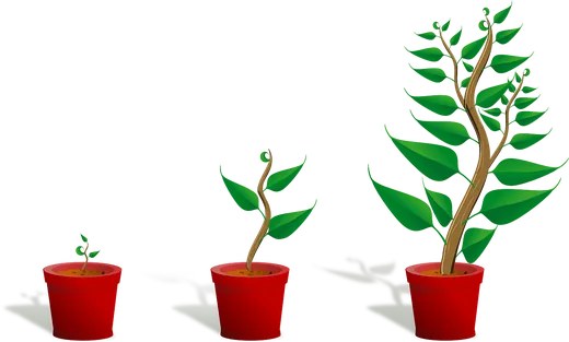 'Ültess fát Alapítvány' cikk borítóképe