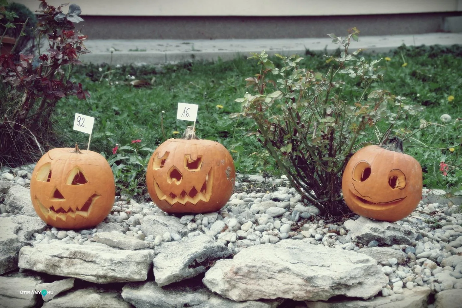 Tökfesztivál 2018. Fotók: Útirány.hu