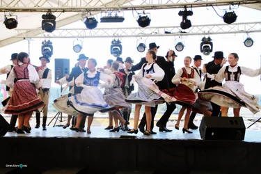 Bakonyi Vágta 2019