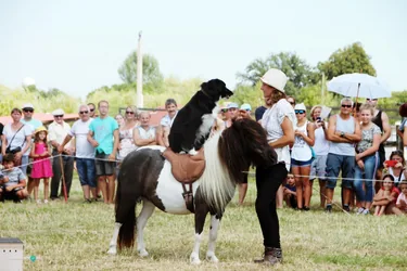 Bakonyi Vágta 2019