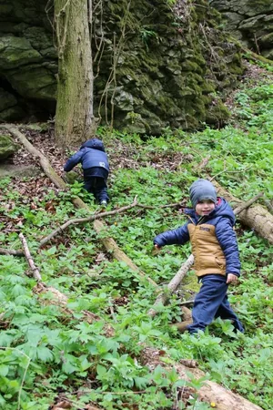 Képek a 2017-es rendezvényről: