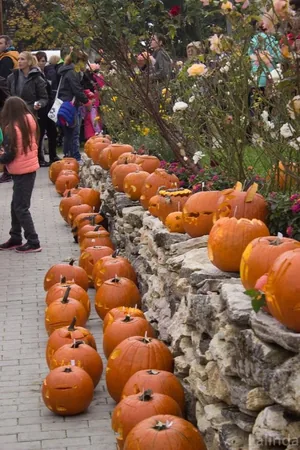 Fotók 2 album: Babai Lalinda