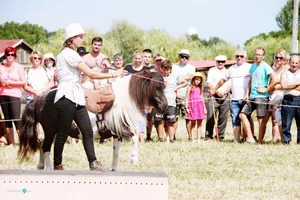 2019 Bakonyi Vágta. Fotók: Útirány.hu