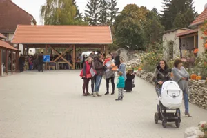 Tökfesztivál 2018. Képek: Babai Lalinda