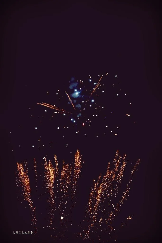 Nyárbúcsúztató főzőverseny, Fotó: LuiLand 