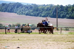 2019 Bakonyi Vágta. Fotók: Útirány.hu