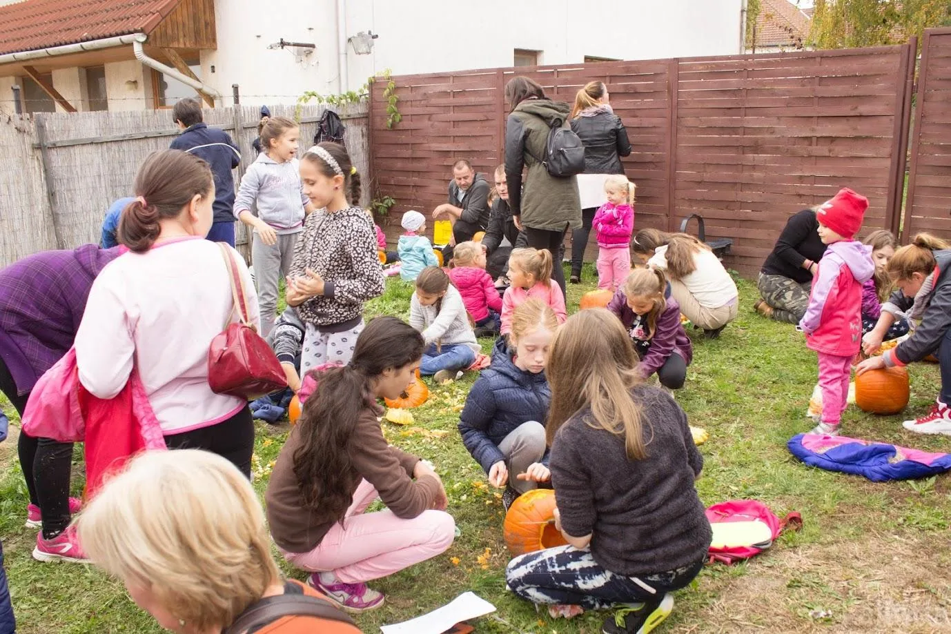 Fotók 1 album: Babai Lalinda