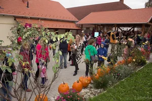 Fotók 2 album: Babai Lalinda