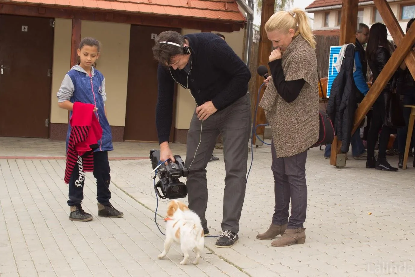 Fotók 1 album: Babai Lalinda