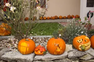 Fotók 2 album: Babai Lalinda