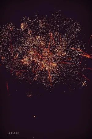 Nyárbúcsúztató főzőverseny, Fotó: LuiLand 