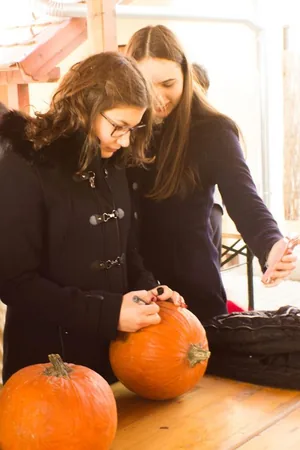 Tökfesztivál 2018. Képek: Babai Lalinda