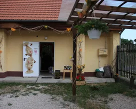 Kék Ibolya Virágbolt borítóképe