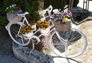 Virágos Bakonyszentlászló borítóképe