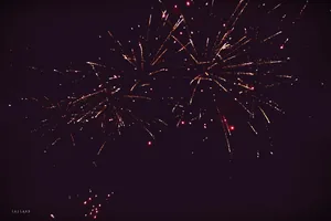 Nyárbúcsúztató főzőverseny, Fotó: LuiLand 