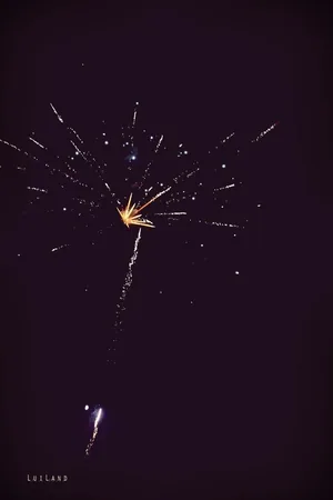 Nyárbúcsúztató főzőverseny, Fotó: LuiLand 