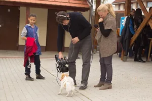 Fotók 1 album: Babai Lalinda