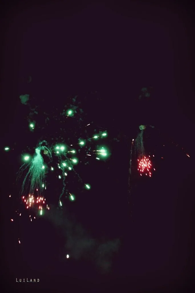 Nyárbúcsúztató főzőverseny, Fotó: LuiLand 