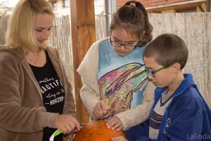 Fotók 1 album: Babai Lalinda