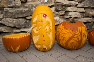 Fotók 2 album: Babai Lalinda