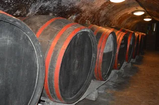 Gazda percek - Miért értékelik a borászok a nemes penészt? borítóképe