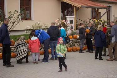 Töklámpás Parádé