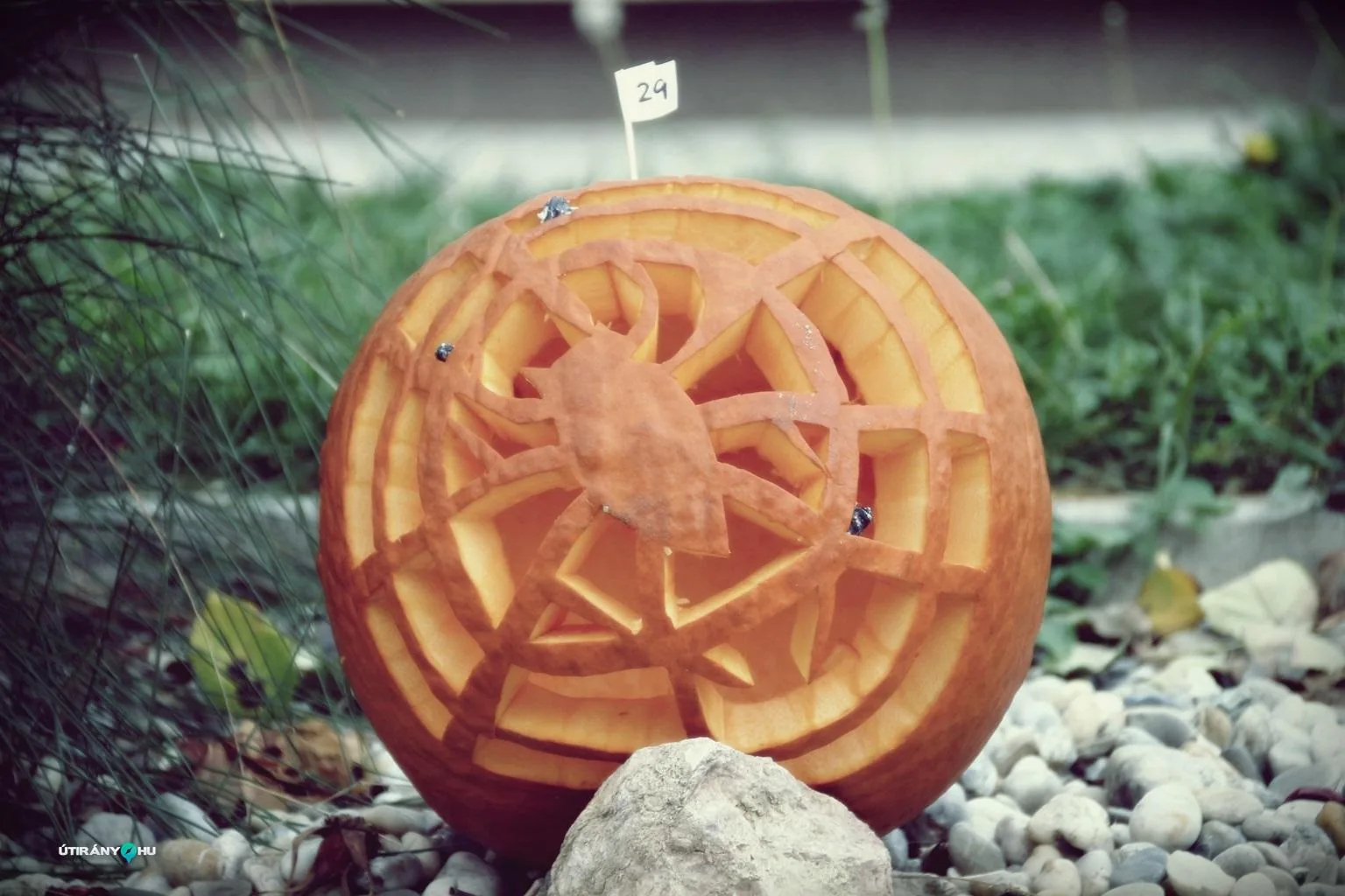 Tökfesztivál 2018. Fotók: Útirány.hu