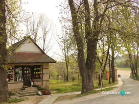 Napvirág Szépségszalon és Szolárium borítóképe