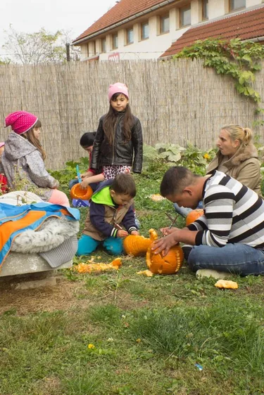 IX. Tökfesztivál