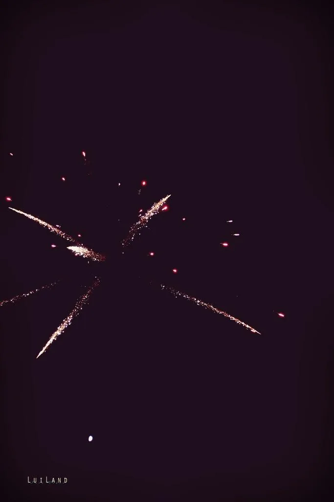 Nyárbúcsúztató főzőverseny, Fotó: LuiLand 