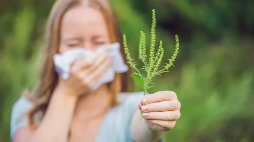 'Parlagfűmentesítési hét' cikk borítóképe