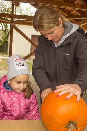 Fotók 1 album: Babai Lalinda