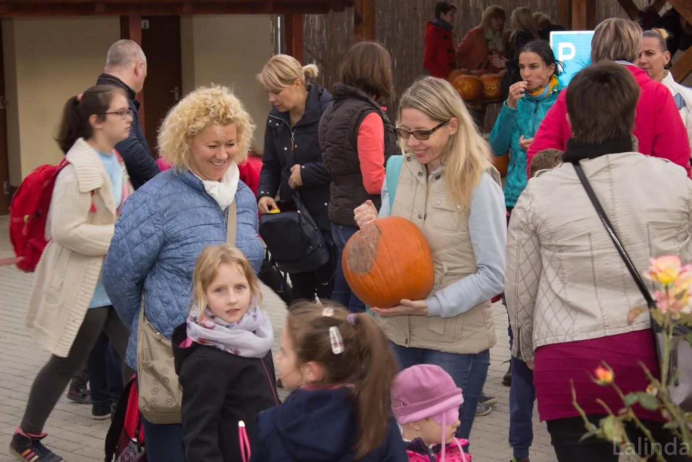 Fotók 2 album: Babai Lalinda