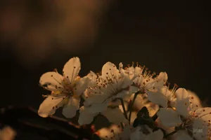 Kapcsolódó képek, hogy tudjuk, mire kellene vigyáznunk...