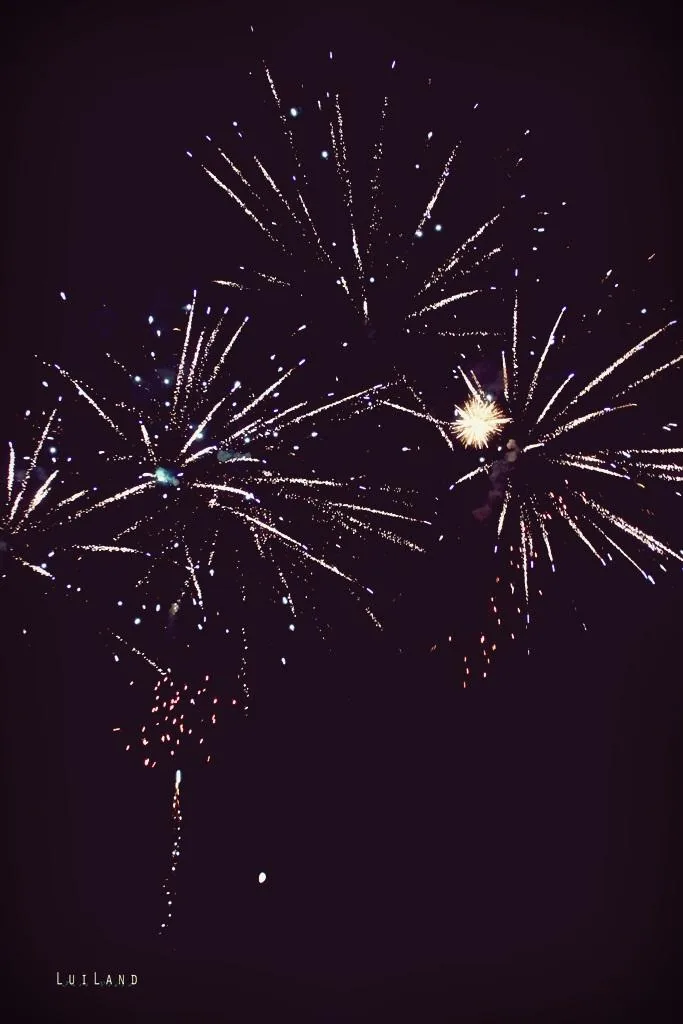 Nyárbúcsúztató főzőverseny, Fotó: LuiLand 