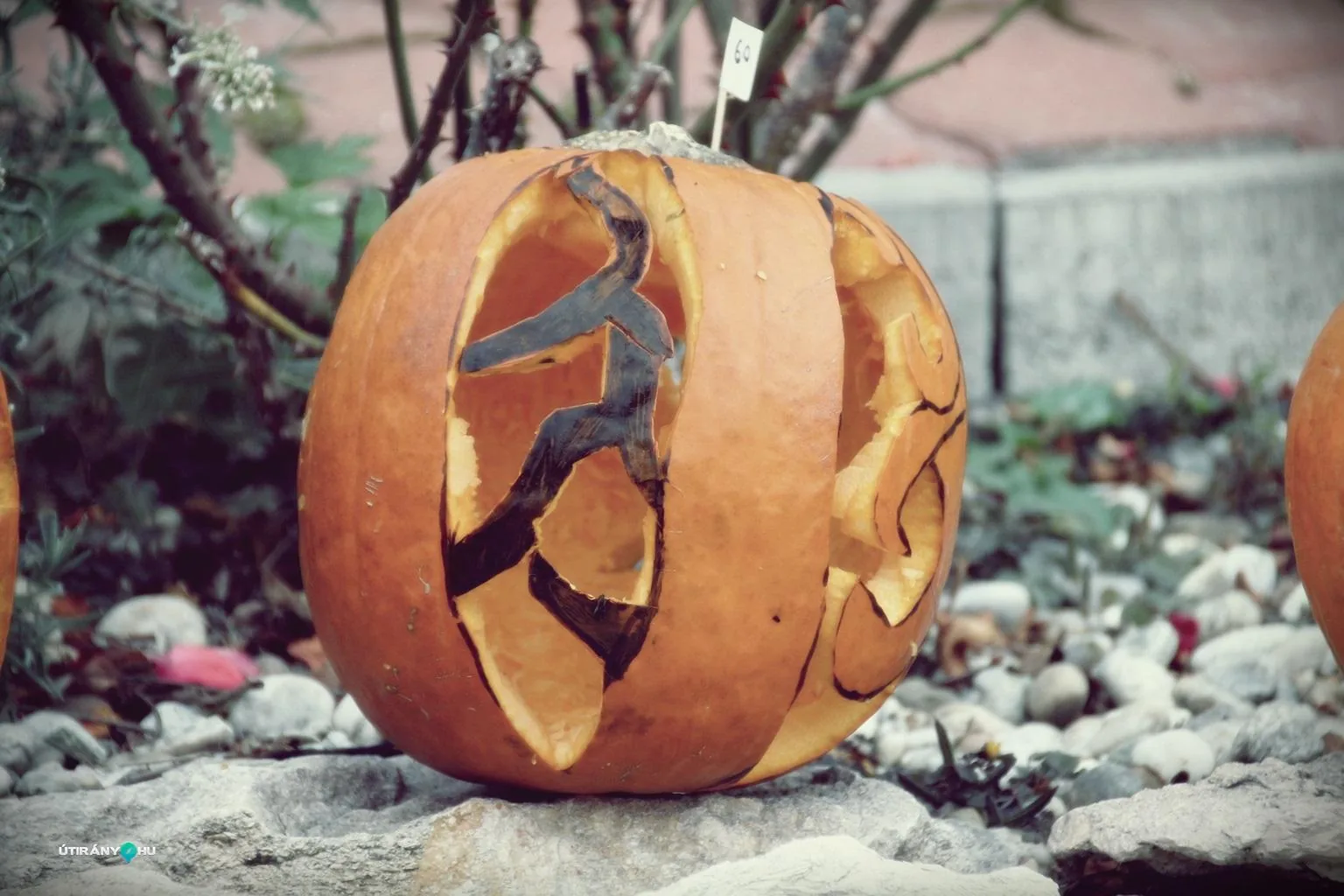 Tökfesztivál 2018. Fotók: Útirány.hu