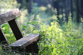 Föld Napja borítóképe