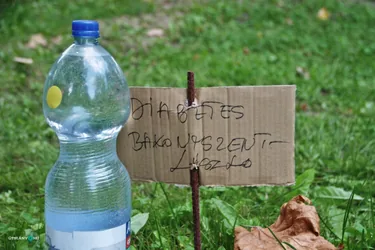 Főzőverseny Bakonyszentlászlón