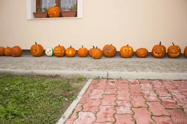 Töklámpás Parádé