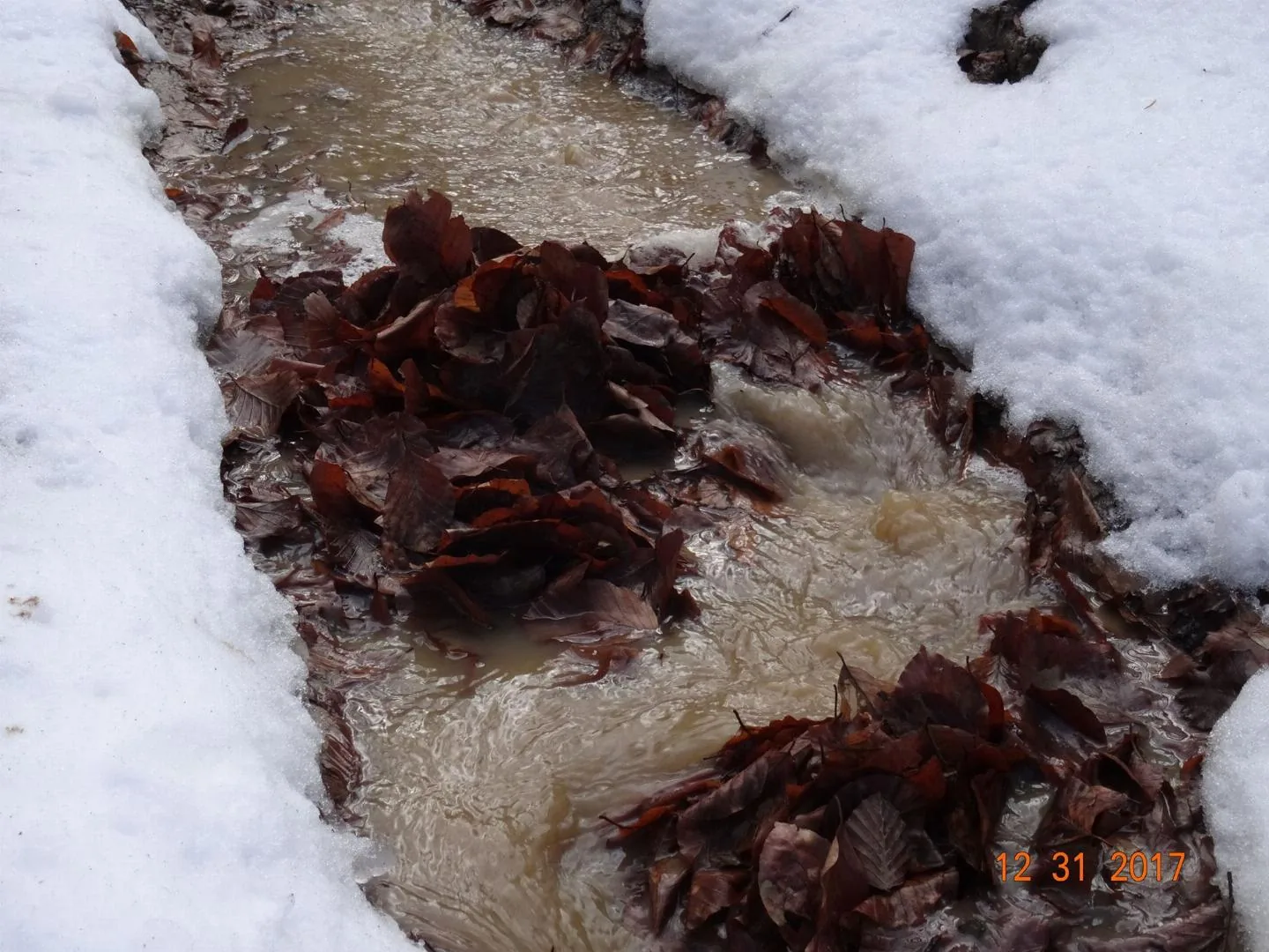 Kedvcsináló képek tavalyról! Fotók: Horváth Attila