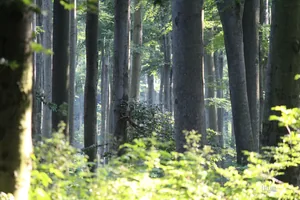 Kapcsolódó képek, hogy tudjuk, mire kellene vigyáznunk...
