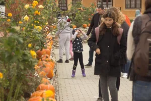 Tökfesztivál 2018. Képek: Babai Lalinda