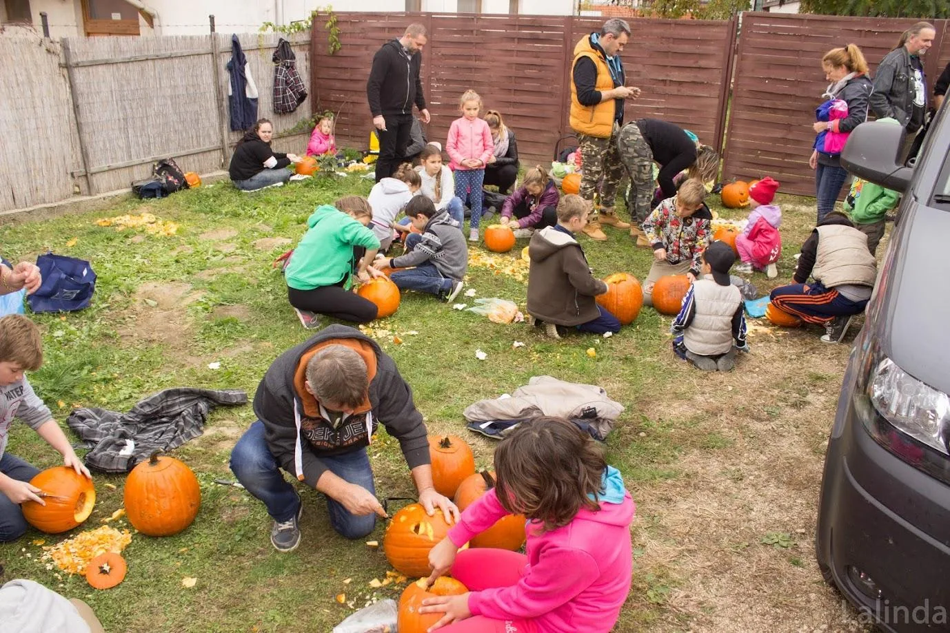 Fotók 1 album: Babai Lalinda