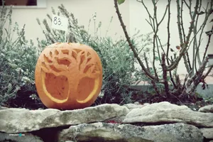 Tökfesztivál 2018. Fotók: Útirány.hu